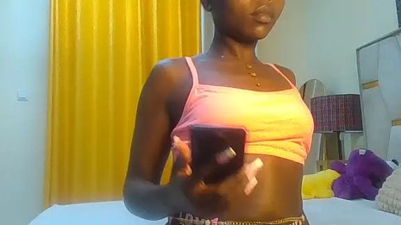 Fine_assie