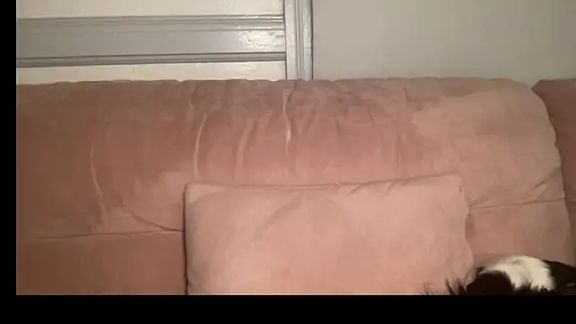 ownedbyjessie