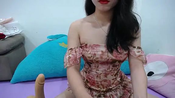 Amila-xoxo
