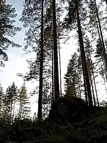 Natacha_sweden