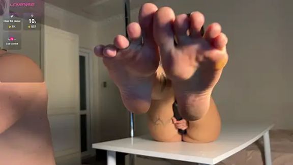 Morphiturata