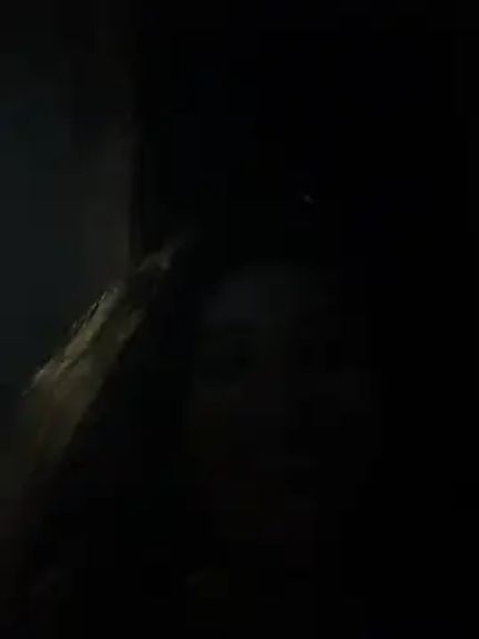IrisBlues