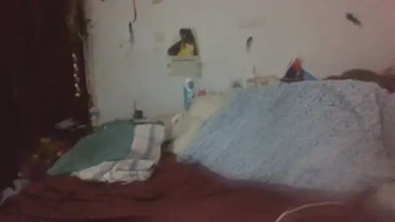 paradisejas