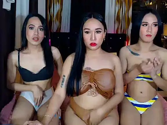 bigasscocktransxxx