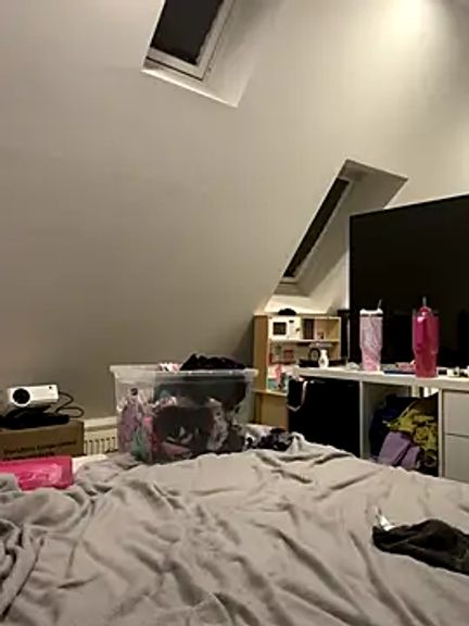 LittleChaosQueen
