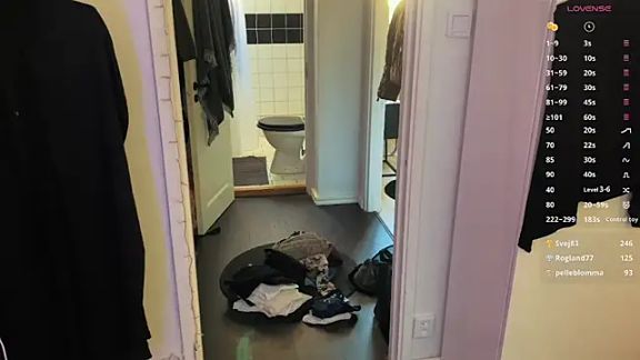 SwingWingWomanSweden