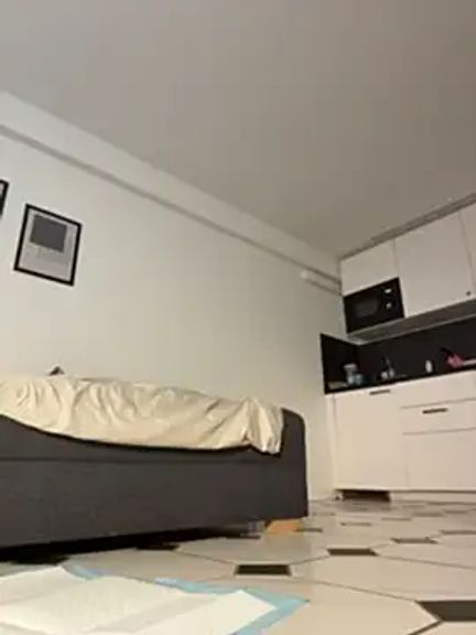 Vladamais