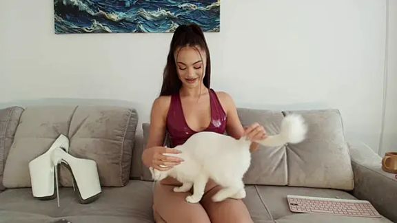 DemyDD