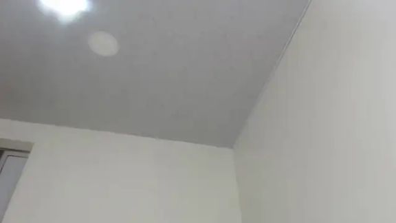 Kitty_Mifl