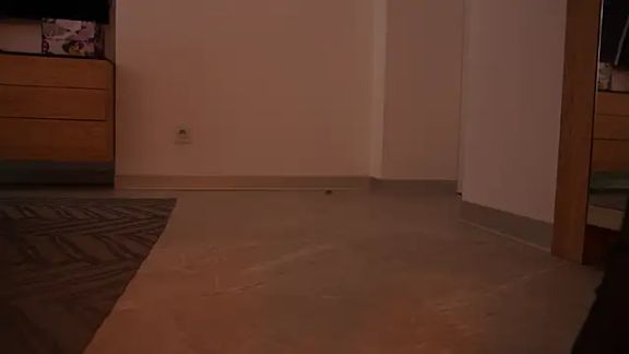 ibiddi