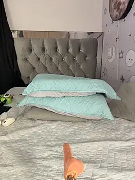 daliz_20_z