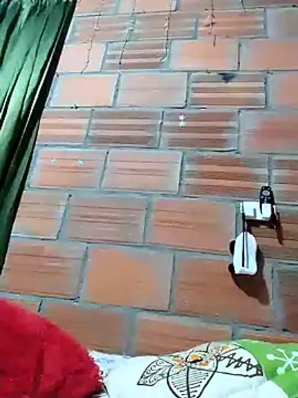 Gatita57