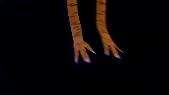 FeetVibe