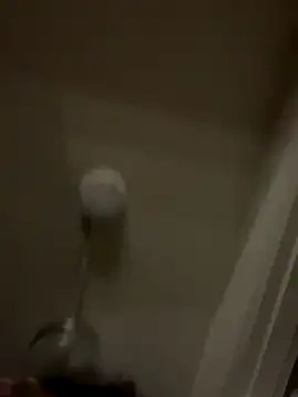 shejuicier