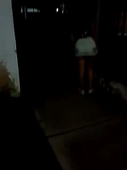720BRENDA