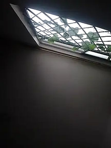 Karlagonzales_