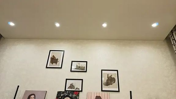 dolly_ll