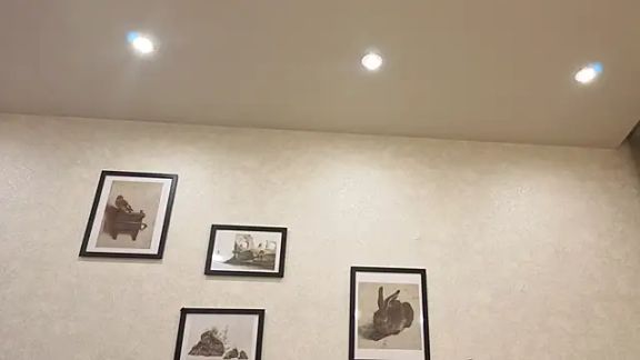 dolly_ll