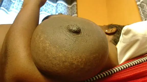 titi_fiesta