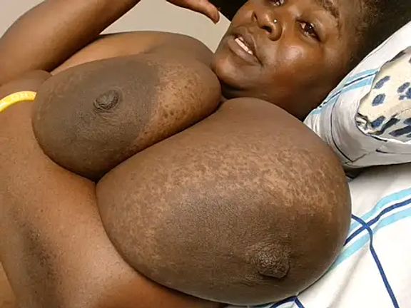 titi_fiesta