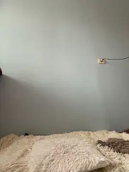 AlisaDoll444