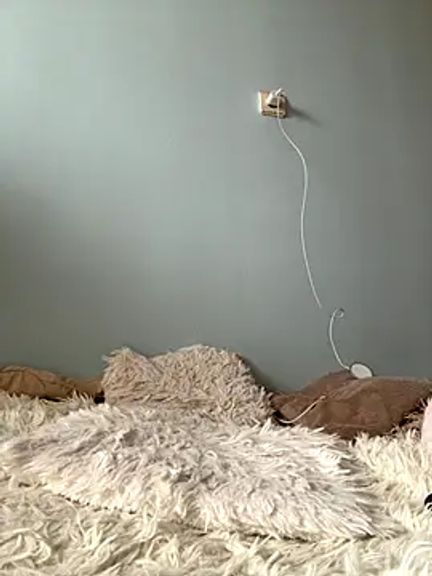AlisaDoll444
