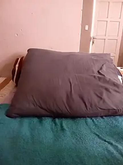 shy-lillyX22