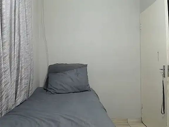 PinkPanther_04