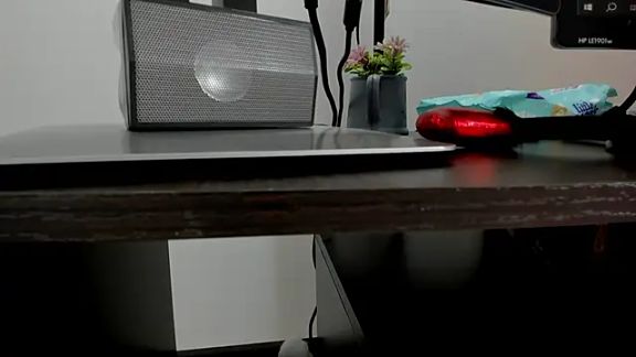 sarah_temptation
