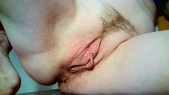 Xollan_