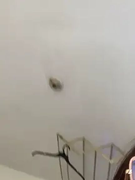 AlexxiaaMat