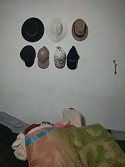 Pamelamiler__