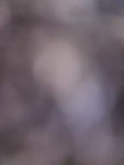 Erotic_and_Exotic