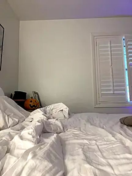 Robin_Robin_