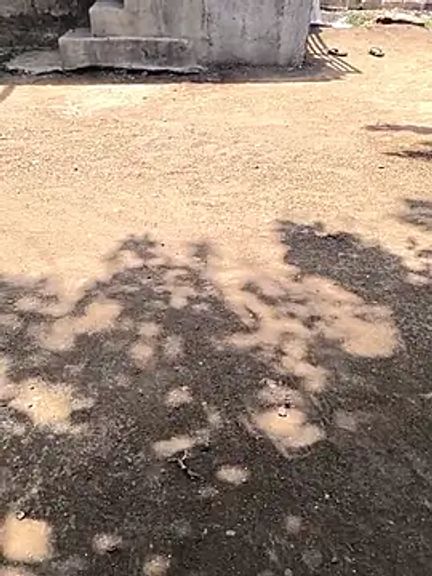Desimallbhabhi