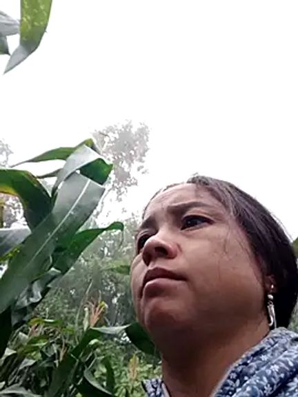 Soila11