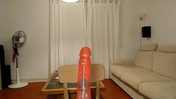 vagina02cam