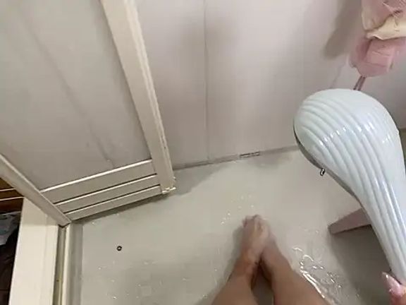 noel_8181_lcup