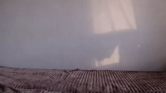 alice_inspires