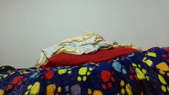 violeta24