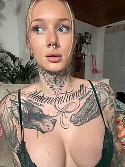 Stella-Kink