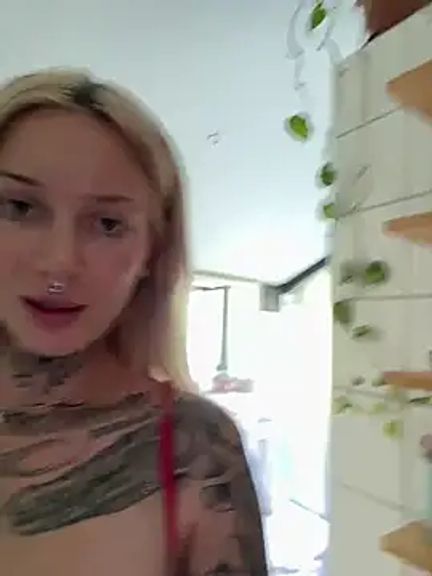 Stella-Kink