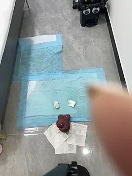 lilyxye77