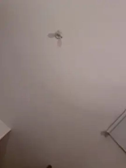 Nina_velvet01