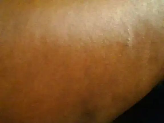 Sexybriella