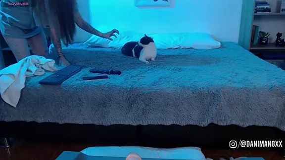 Soy_mangx
