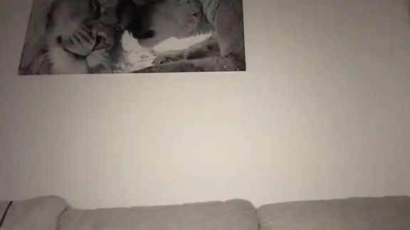 Viola_Beck