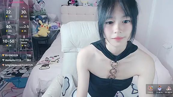 Cutecat520