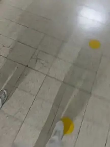 Daliz