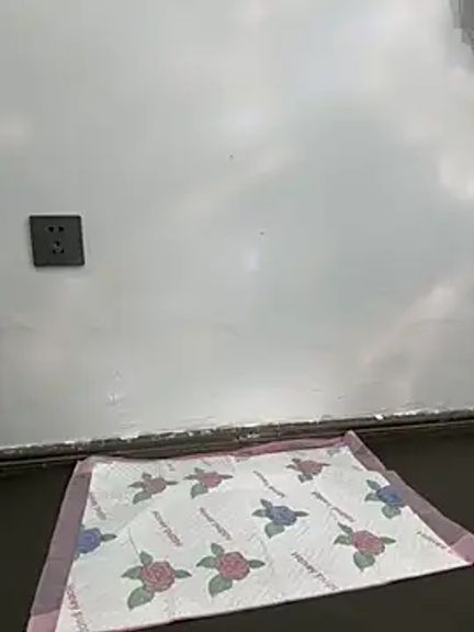 xiaoqiao_ss
